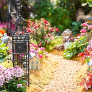 Photo Garden design