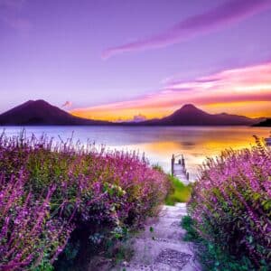 Photo Lavender field