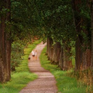Photo Pathway lights