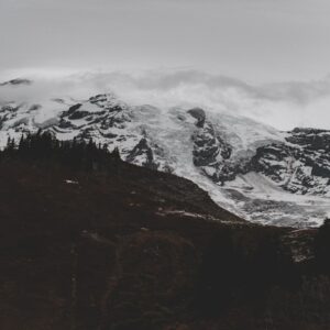 Photo Natures Majesty