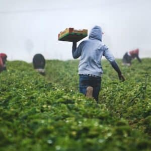 Photo Sustainable Farming