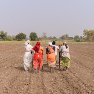 Photo Smart irrigation