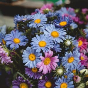 Photo Garden Bouquet