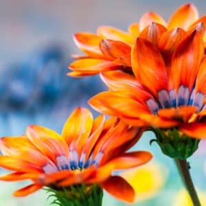 Photo Eco-friendly garden