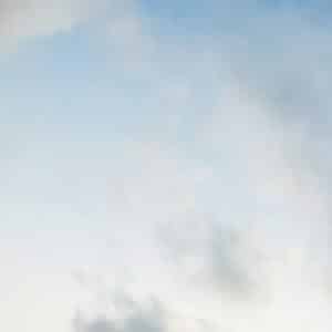 Photo Air-purifying plants