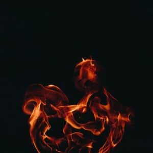 Photo Fire-resistant plants