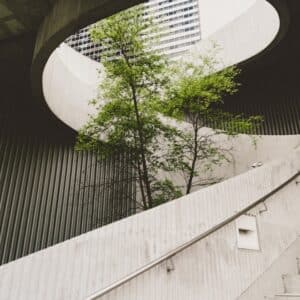Photo Garden design