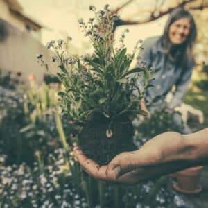 Photo Gardening tools