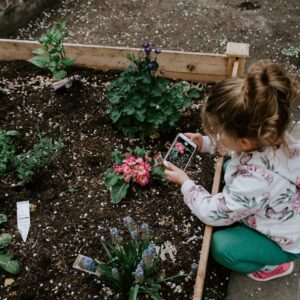 Photo Accessible garden