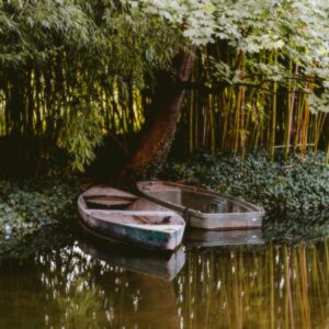Photo Lush garden