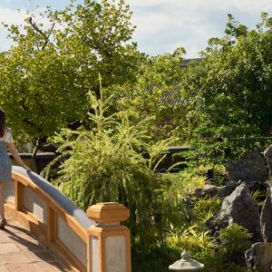 Photo Lush garden