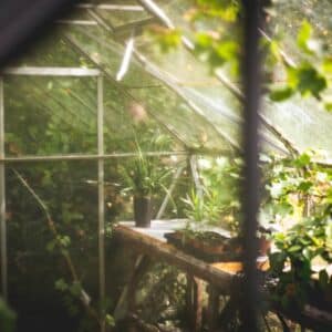 Photo Green garden