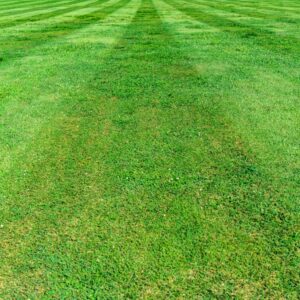 Photo Lawn mowing