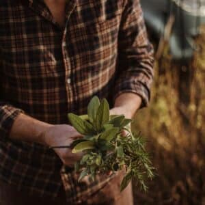 Photo Gardening tools