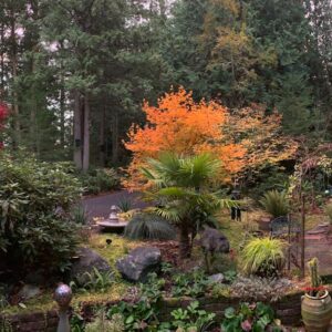 Photo Garden oasis
