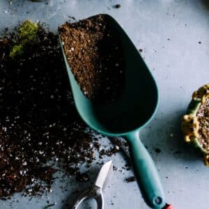 Photo Eco-friendly garden