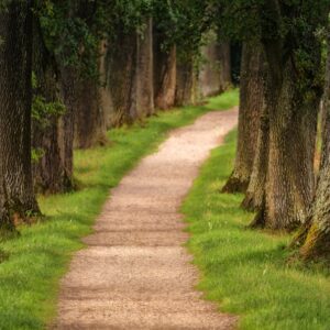 Photo Moonlit pathway