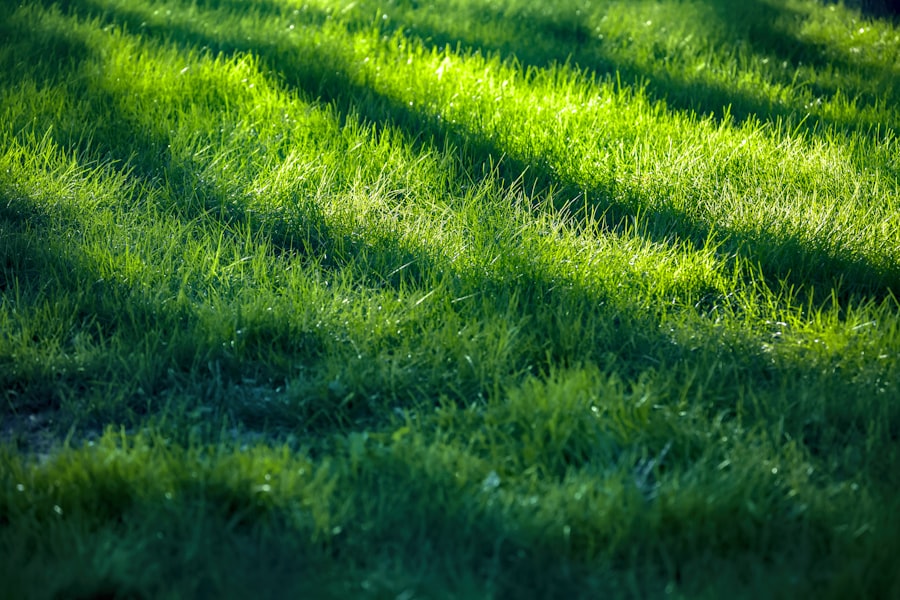 Lawn and Landscaping Company