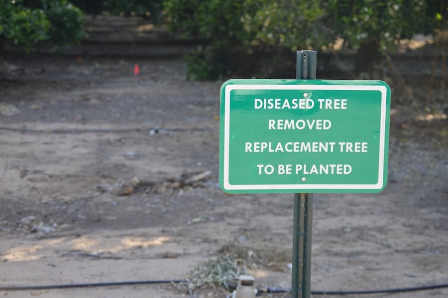 Landscaping Company