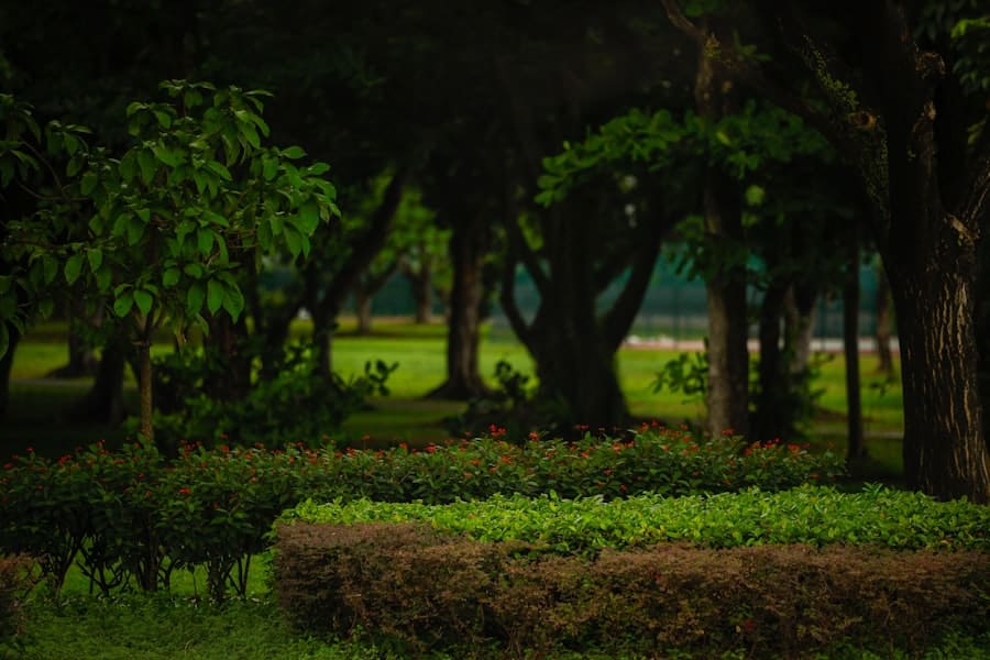 Landscaping Company
