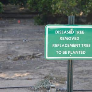 Photo Landscaping Company