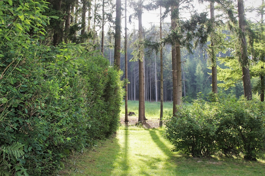 Photo Landscaping Company