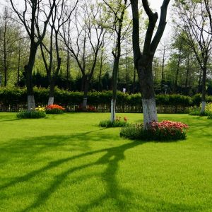 Photo Landscaping Company