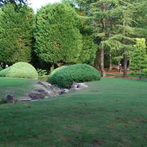 Photo Landscaping Company