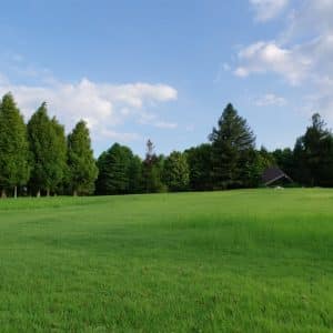 Photo Lawn and Landscaping Company