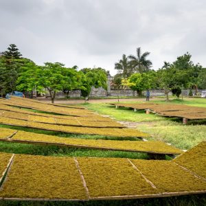 Photo Landscaping Company