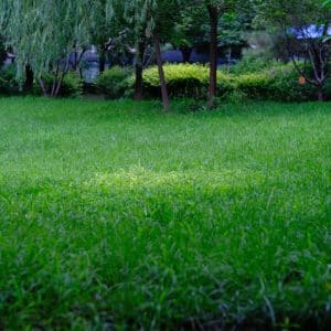 Photo Lawn and Landscaping Company