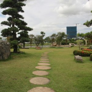 Photo Landscaping Company