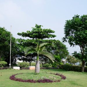 Photo Landscaping Company