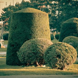 Photo Landscaping Company