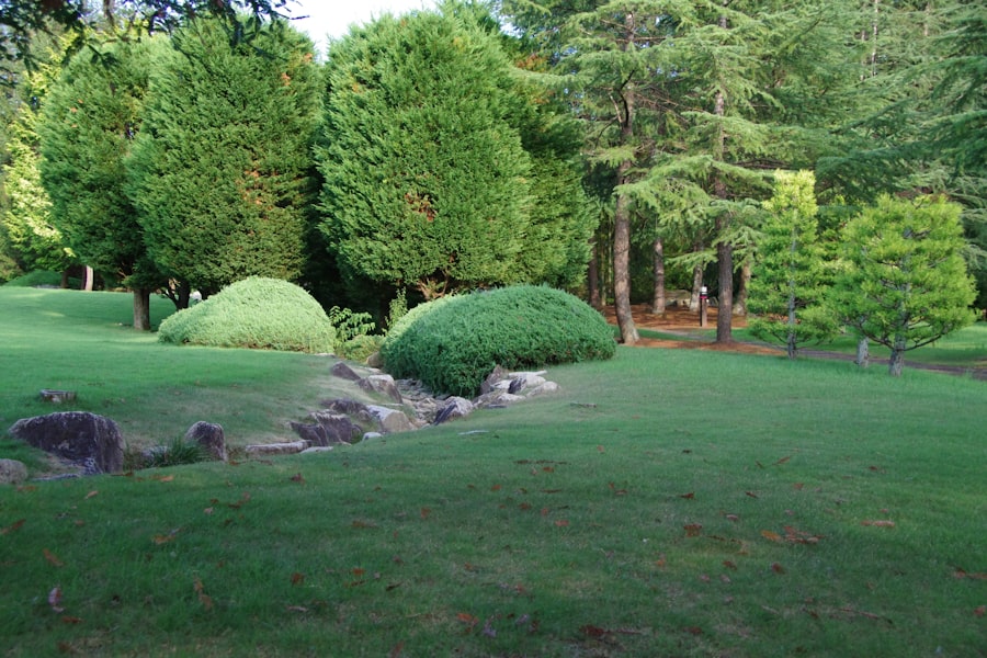 Photo Landscaping Company