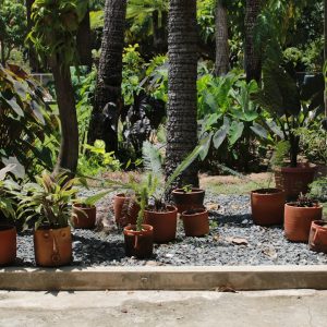 Photo Landscaping Company