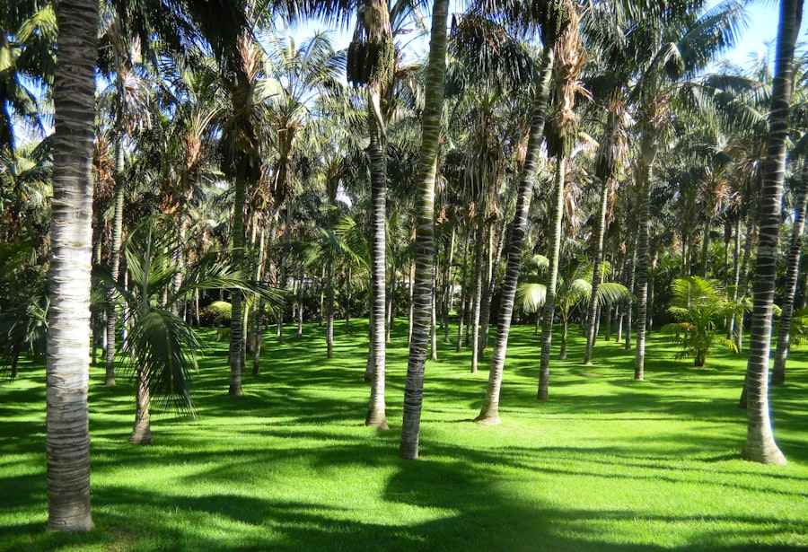 Lawn and Landscaping Companies