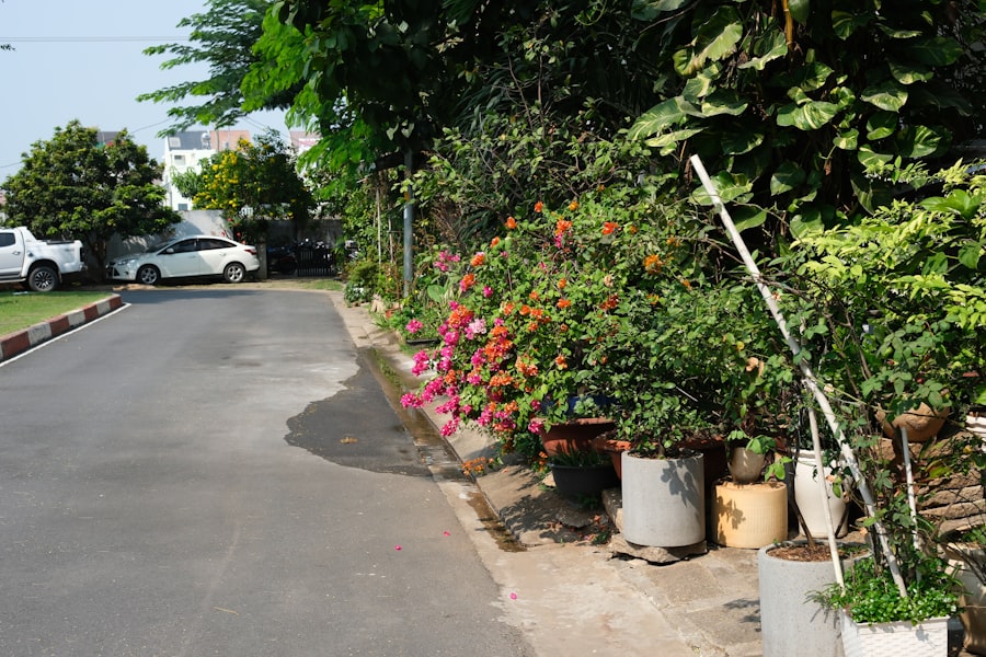 Photo Landscaping Service