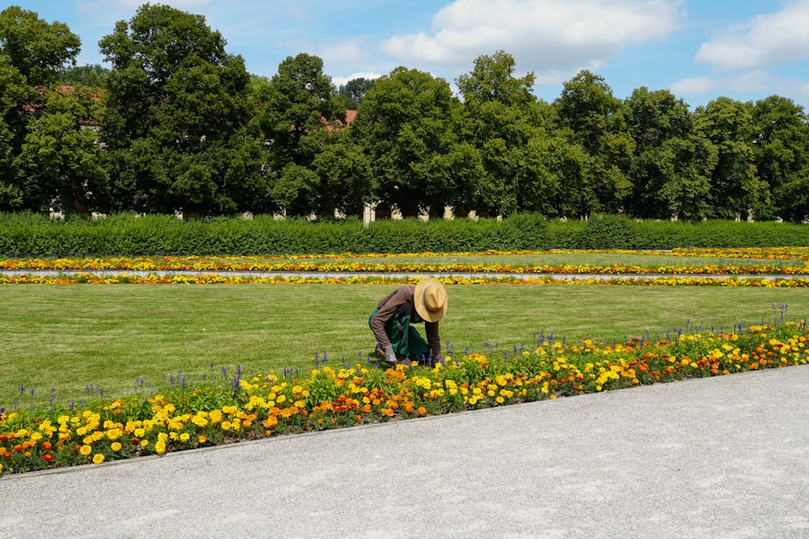 Photo Landscaping Service