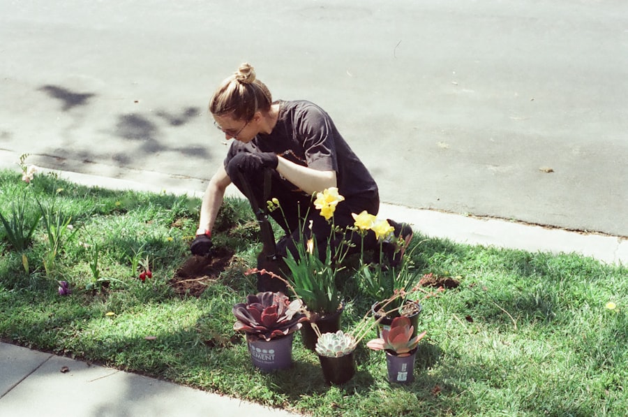 Photo Landscaping Service