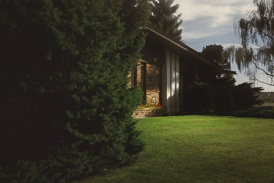 Photo Landscaping