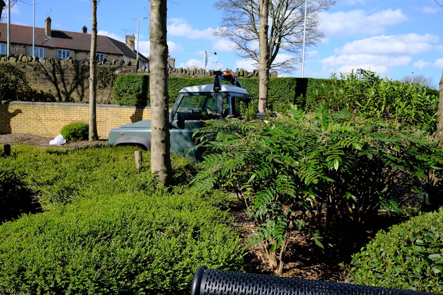 Photo Hardscape and Landscaping Service