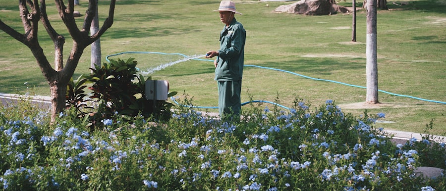 Photo Landscaping Service