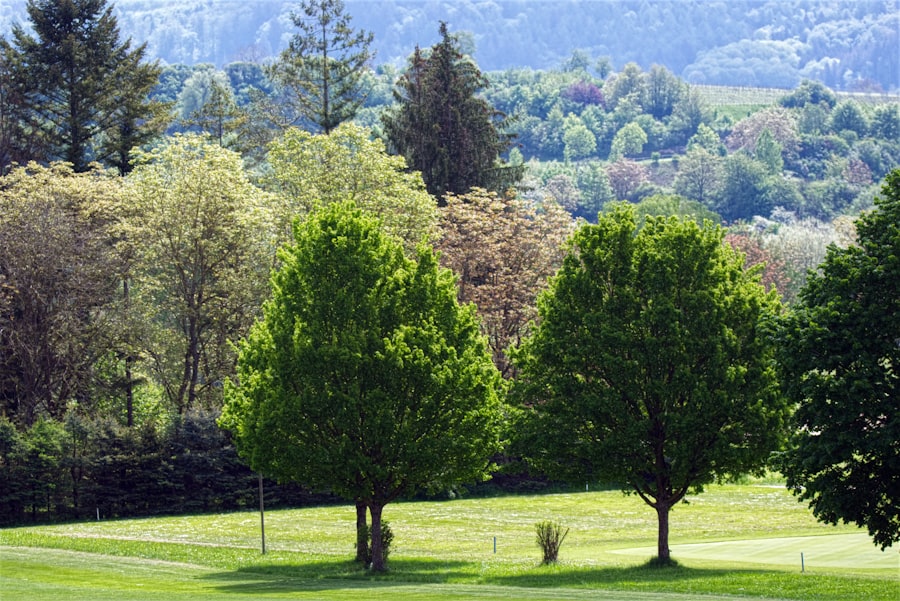 Photo Landscaping Companies