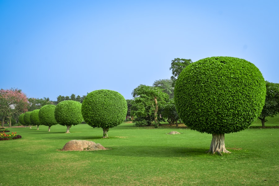 Photo Landscaping Service