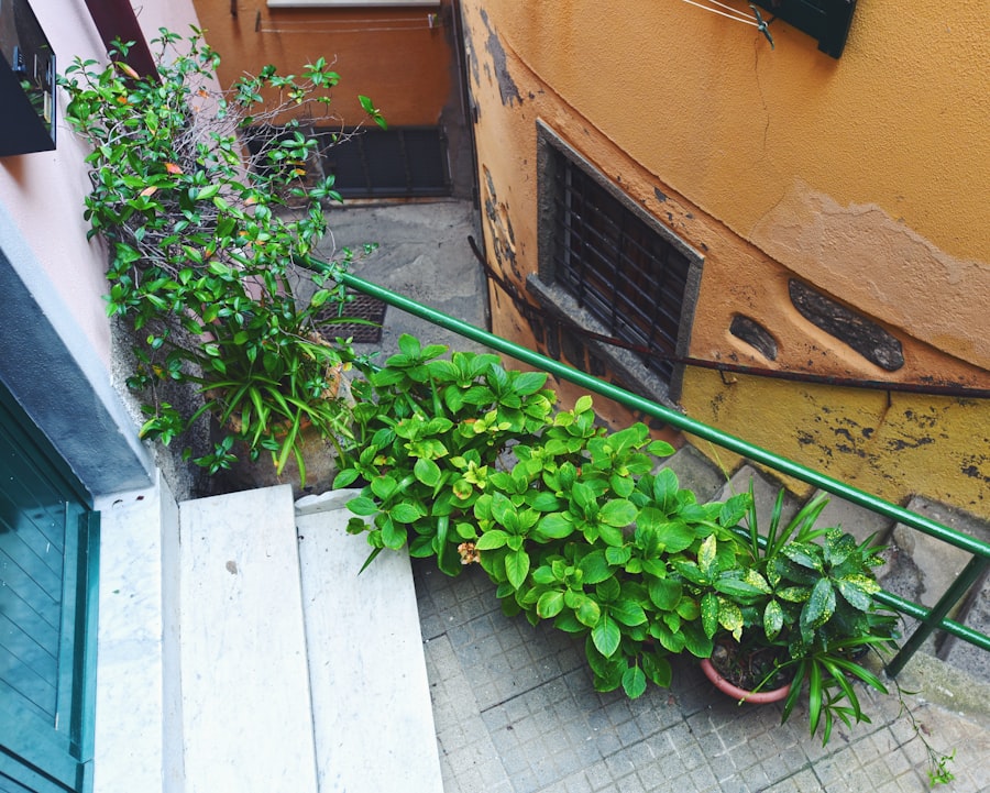 Photo Landscaping Service