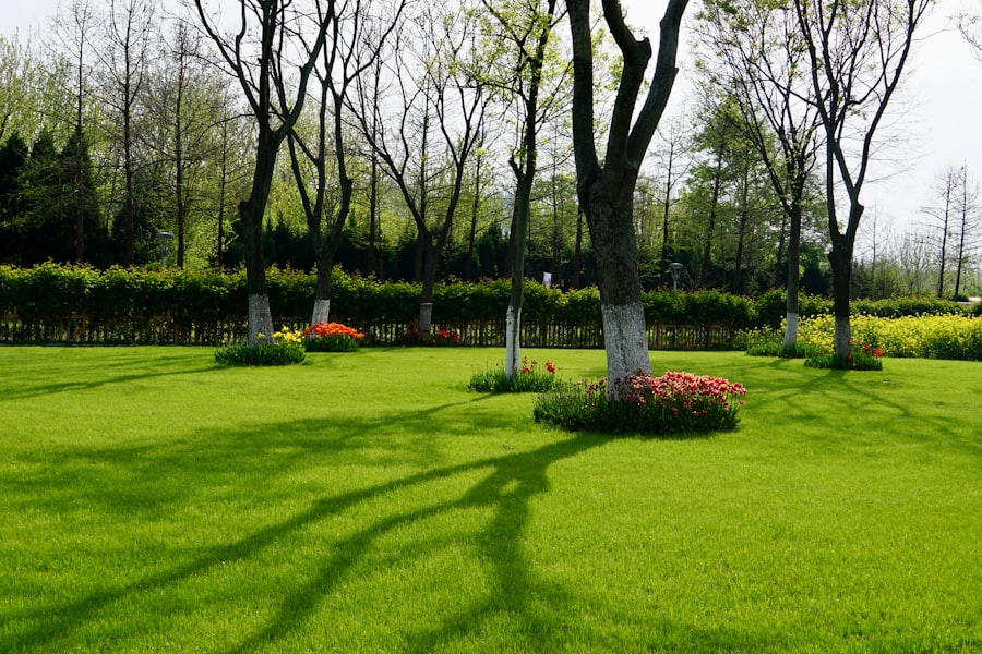 Photo Landscaping Service