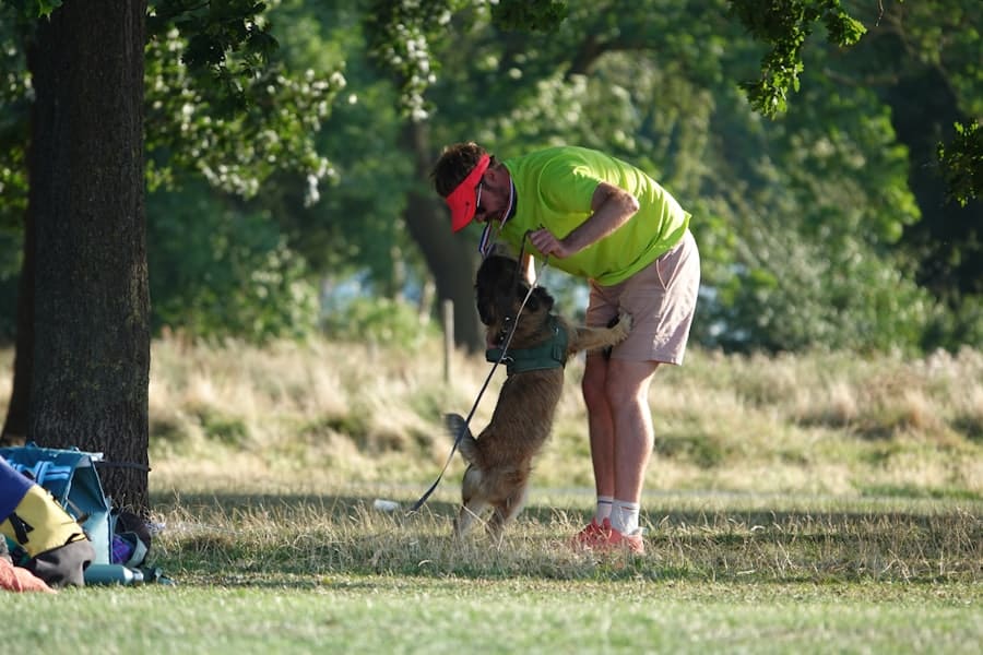 Photo Landscaping Service